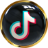 logo vip tik tok